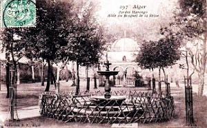 Alger - Jardin Marengo - 1907
